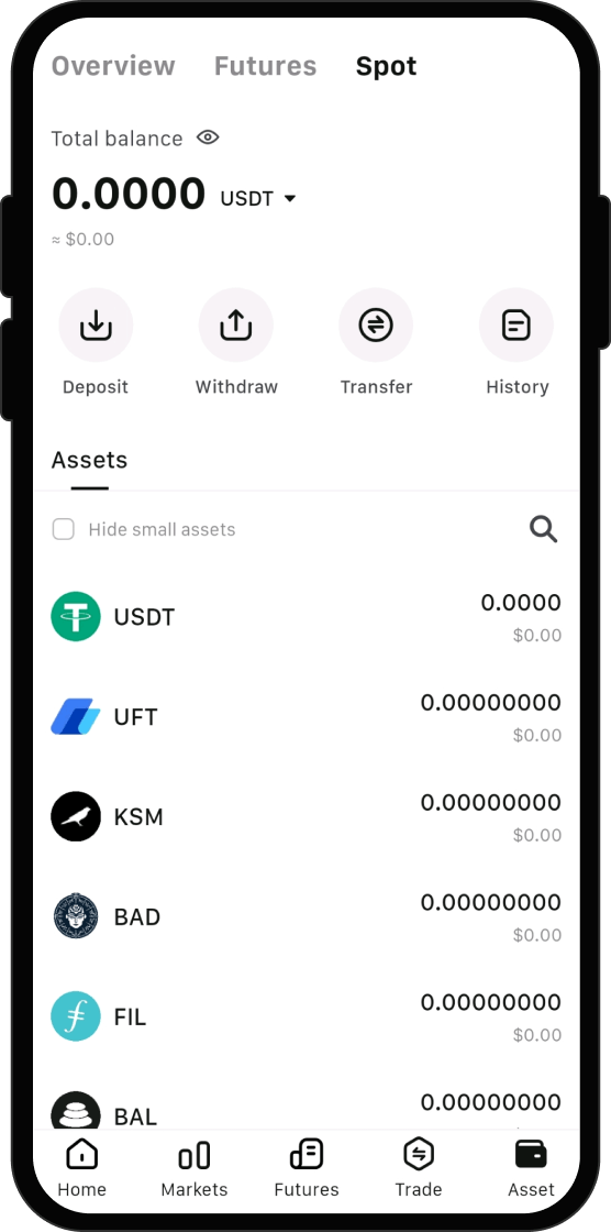 What Can I Do After I Buy BinaryX [Old] (BNX)?